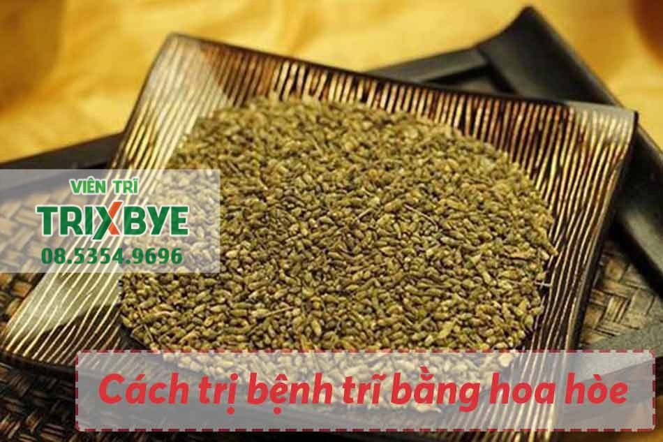 Cách trị bệnh trĩ tại nhà bằng hoa hòe