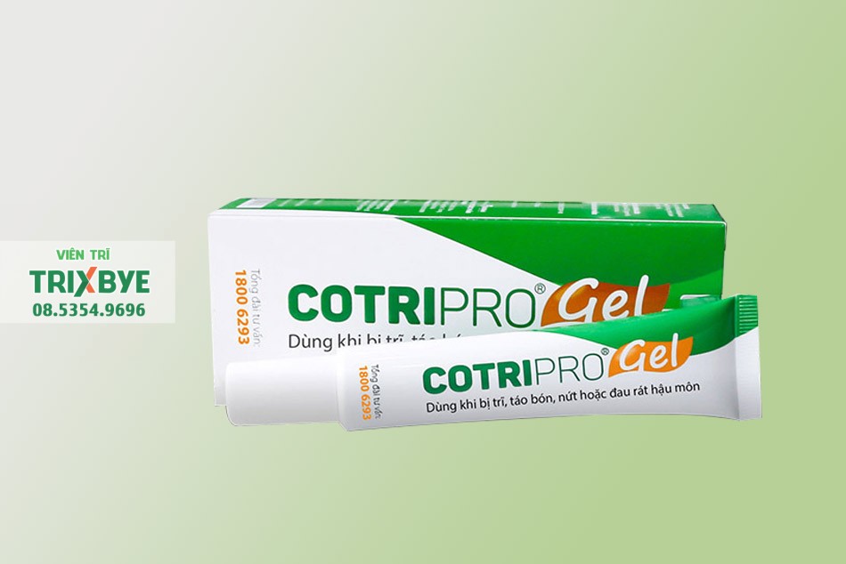 Gel bôi tiêu trĩ Cotripro Gel của Việt Nam